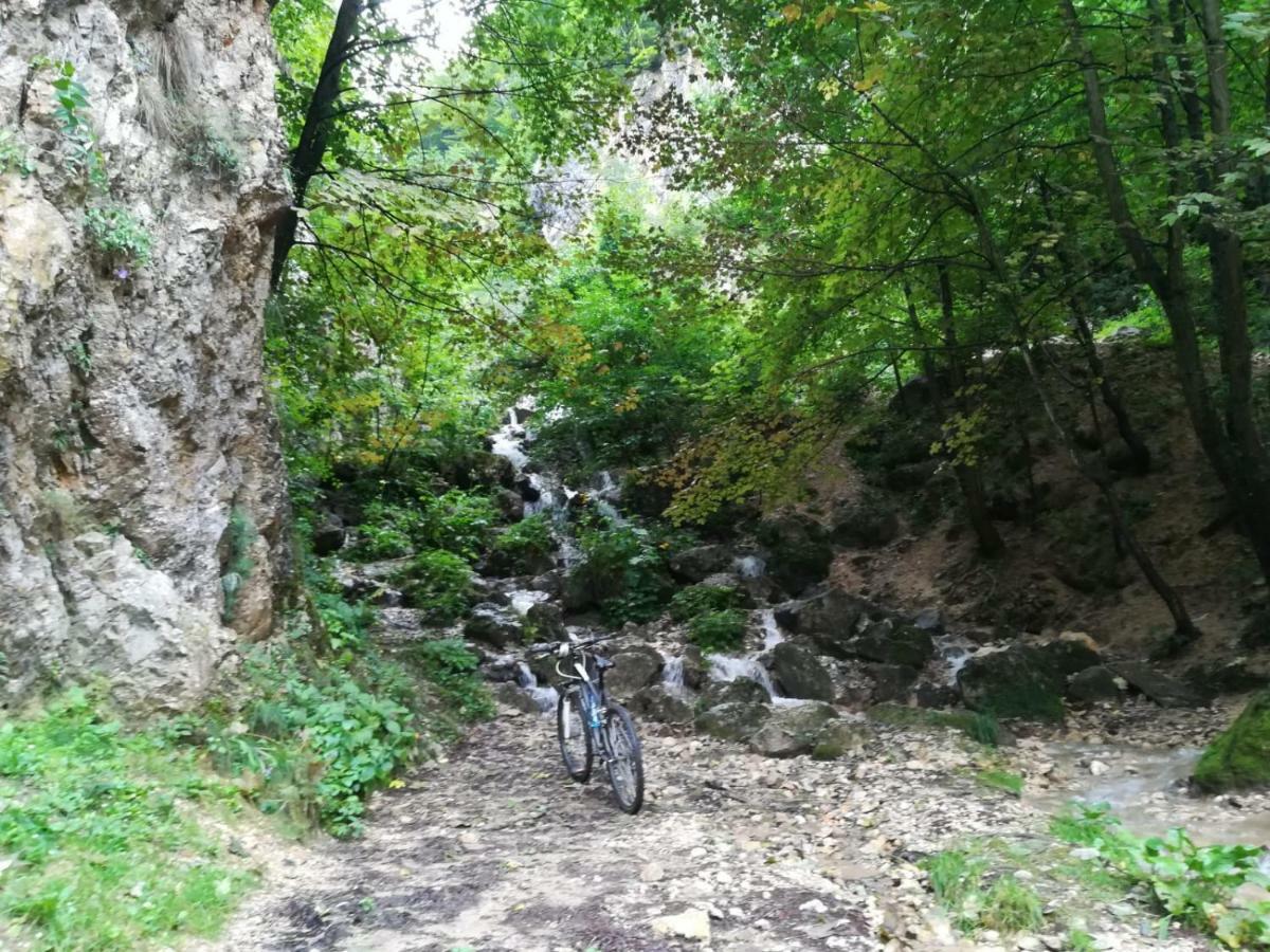 Casa Schei Case de vacanță *
