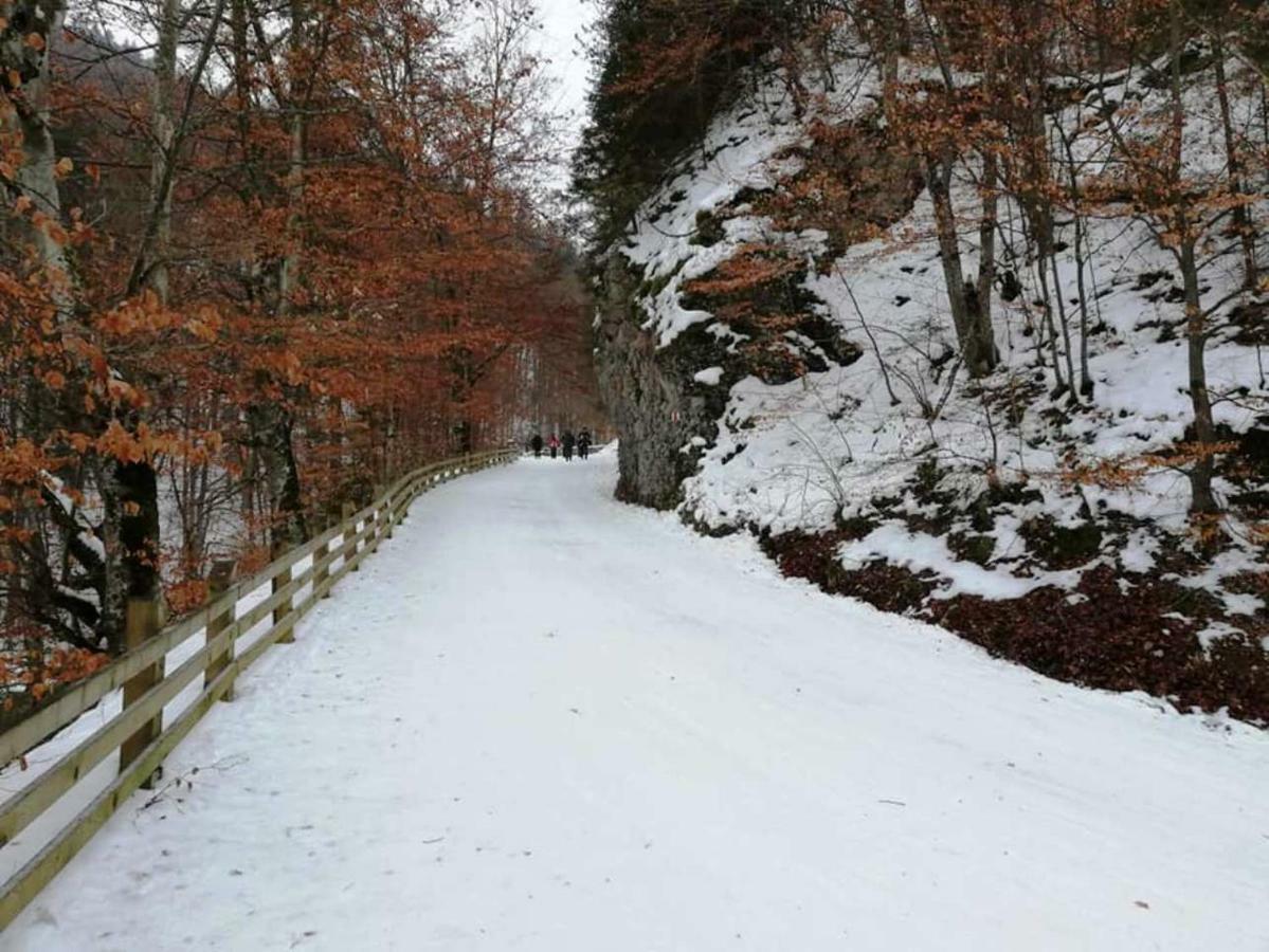 Case de vacanță Casa Schei Brașov